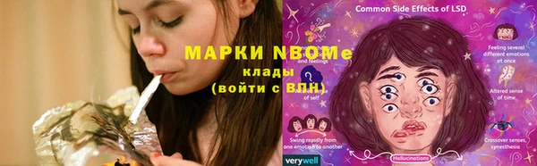 Альфа ПВП Аркадак